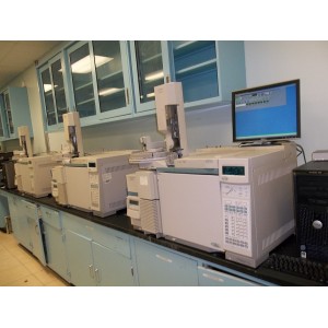 Agilent 5973N MSD with 6890 Plus GC